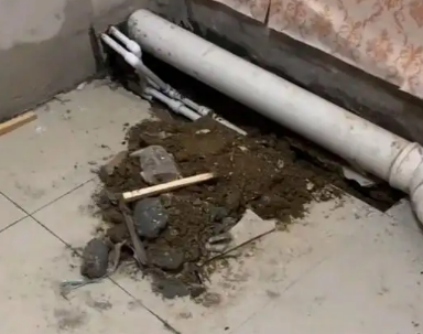 电白卫生间漏水检测哪家好