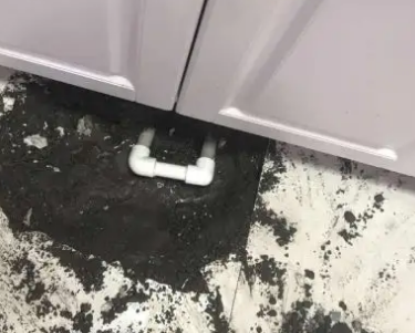 电白查漏水哪家好